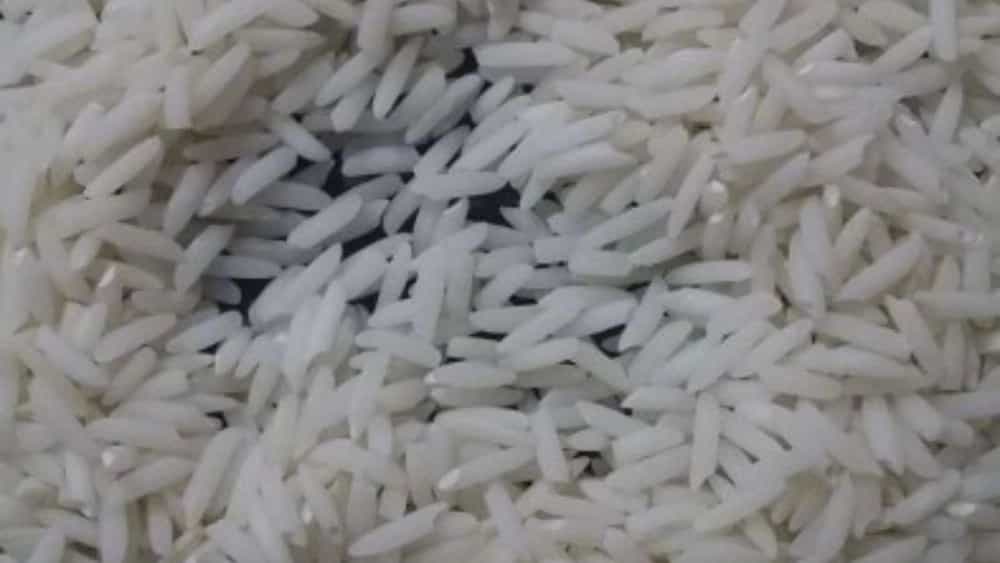 خرید عمده برنج از سورتینگ سید در شمال ایران با قیمت عالی